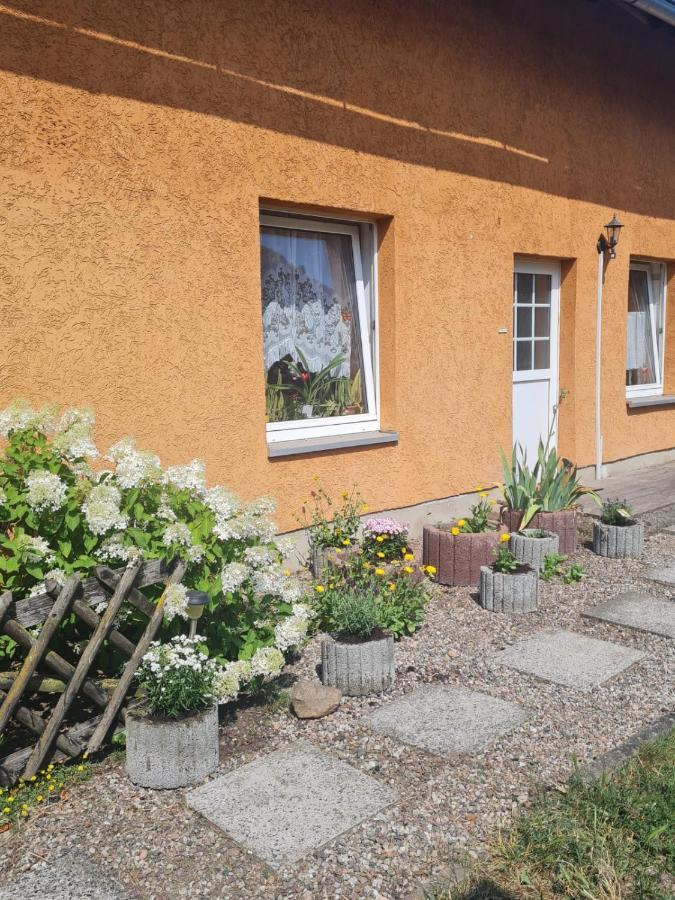 Ferienwohnung Warnitz Blankenburg  Екстер'єр фото